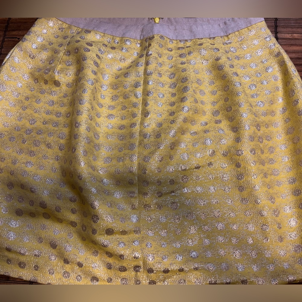 Ann Taylor LOFT skirt